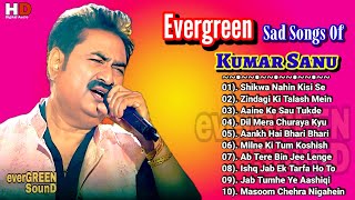 Evergreen Sad Songs Of Kumar Sanu Hit Of Alka Yagnik Best of kumar sanu90s hit playlist [upl. by Assanav]