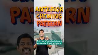 முன்பல் மூலமாகவே உணவை உண்டால் Anterior chewing pattern  Dentakings  DrKarthikeyan [upl. by Alekat]