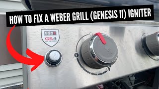 How To Fix A Weber Genesis II Grill Igniter [upl. by Alberto]