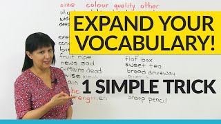 Vocabulary Hack Learn 30 Verbs in 10 minutes [upl. by Hashim595]