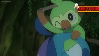 Grookeys cute momentspart 4 [upl. by Atinomar]