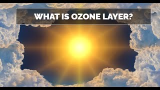 What is the Ozone Layer Why Its Crucial [upl. by Snyder]