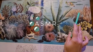 ASMR hojeando y leyendo enciclopedia vintage del mundo marino 2 hs para tu relax [upl. by Reger170]