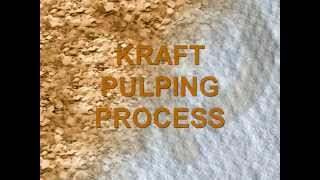 Pulp and Paper Process Flow Introduction [upl. by Klarrisa60]