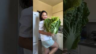 White kimchi recipe w HUGE cabbage I grew from the garden kimchi [upl. by Aisatnaf]