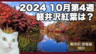 【軽井沢の紅葉 2024 10月第4週】Karuizawa [upl. by Daven]