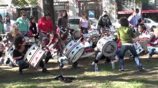 Batala Percussion Washington DC Oct 23 2010 [upl. by Assirroc512]