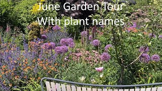 June 2023 Garden Tour With Plant Names [upl. by Cock]