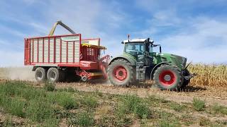 Maishäckseln 2018 mit Fendt Katana 65 und Fendt Vario [upl. by Noreen]