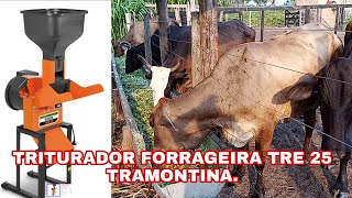 FORRAGEIRA TRE 25  TRAMONTINA [upl. by Akirat]