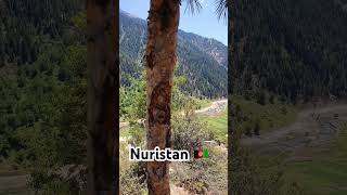 Our Nuristan Afghanistan [upl. by Fortna246]