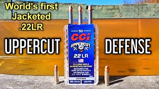 CCI UPPERCUT 22LR Gel Test amp Controversy 22plinkster ToolsandTargets buffalosoutdoors [upl. by Yeldnarb]