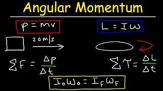 Angular Momentum  Basic Introduction Torque Inertia Conservation of Angular Momentum [upl. by Neetsyrk]