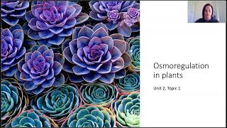 Osmoregulation in plants [upl. by Etteuqaj753]