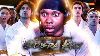 COBRA KAI SEASON 6 PART 2 TRAILER REACTION [upl. by Ynohtn]