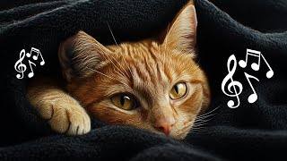 528 Hz Healing Music for Cats amp Owners ♫ Calming Kitten Sleep Frequencies [upl. by Ylremik]