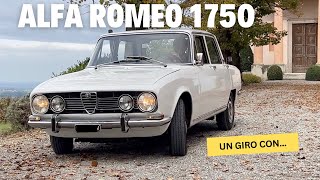 Alfa Romeo 1750 Berlina [upl. by Winson]