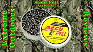 AccuPell  22 Pellets  Review  VOICE [upl. by Simona]