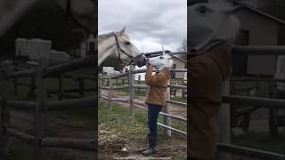 Girl Did Wrong with Horse 🚨❓ [upl. by Ardnic]