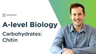 Carbohydrates Chitin  Alevel Biology  OCR AQA Edexcel [upl. by Dix]