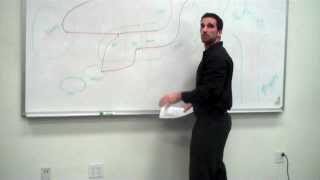 Basal Ganglia part 1 Anatomy and Function  Ben Glasman [upl. by Ain]