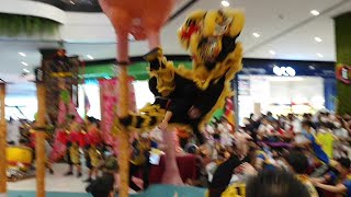 Quayside Mall Acrobatic Lion Dance Championship 2022  Fall and Rise Again [upl. by Notsuoh857]