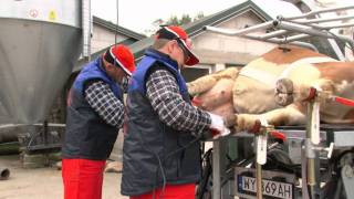 KOREKCJA RACIC w Całej Polsce Agro Test Marek Galiczak [upl. by Fernandina]