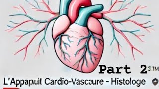 la 1ère coure d histologie lappareil cardio vasculaire  2eme année médecin blida 💗 part 2 [upl. by Torry]