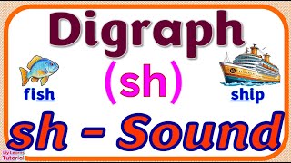 DIGRAPH sh  READING Words amp Sentences with sh Sound Spelt as SH  Liy Learns Tutorial [upl. by Stern]