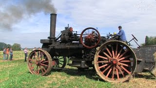 Dampfpflügen in Bocka 2016  Dampf Traktor pflügt  Steam Tractor plowing [upl. by Lupiv747]