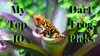 My Top 10 Favorite Dart Frogs [upl. by Haidabo]