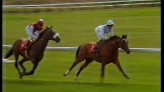 1989 Great Voltigeur Stakes [upl. by Akinet]