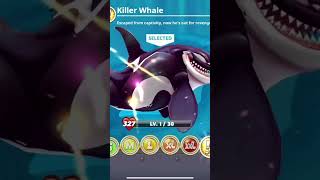 Hungry shark world killer whale new shark unlock Pacific Ocean killer whales sharkdiver hornsharks [upl. by Strohben]