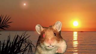 Harry the Hamster on Holiday [upl. by Mackintosh]