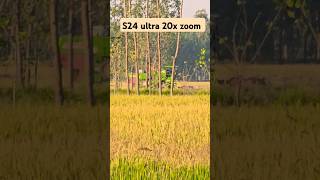 S24 ultra 20x zoom video 🤔viralvideo 🔥 shortvideo trending [upl. by Haem]