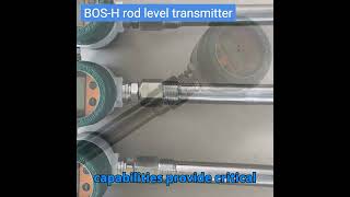 BOS H rod level transmitter [upl. by Nicolis]