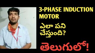 Constructional details of 3 phase Induction Motor [upl. by Nhguaved153]