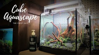 12quot 30cm Cube Aquascape  Initial Build [upl. by Freda]