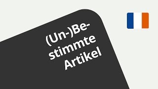 Les articles  Französisch  Grammatik [upl. by Bayard]