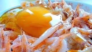 Eating Japanese food Tamago kake gohan quotSakura ebiquot ASMR not sashimi [upl. by Aranahs]