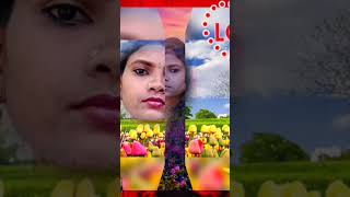 Janda Hai Dil Ye Jandi Hai Tu Love Status Short Video Insta Tranding Reel [upl. by Peters]