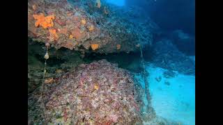 Ta Cenc Cliffs Dive In Malta [upl. by Shapiro670]