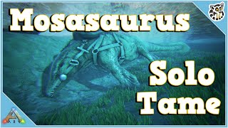 Mosasaurus Solo Tame  Ark Survival Evolved [upl. by Asserac]