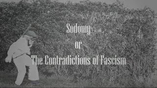 Salò  The Most DISTURBING Films of All Time pt 7 [upl. by Schriever]