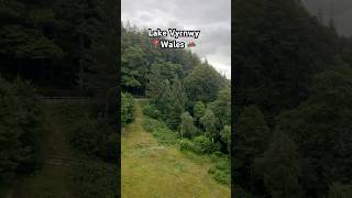 Lake Vyrnwy  forest relaxing music landscape nature birdsong youtube shorts short wales [upl. by Oab]