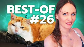 BESTOF TWITCH 26  DamDamLive [upl. by Eusadnilem73]