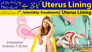 What is Endometrial lining Endometrial lining Normal Size  Normal Endometrial lining [upl. by Akemyt68]