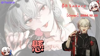 懸朔Sakuro【Cover】 20241029Twitch [upl. by Samale]