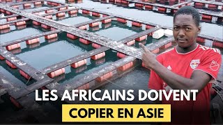 Chaque Africain Devrait Absolument Reproduire Ce Modèle De Pisciculture Dans Son Pays [upl. by Rosalie]