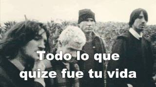 Red Hot Chili Peppers  Dosed subtitulado español [upl. by Sylvester]